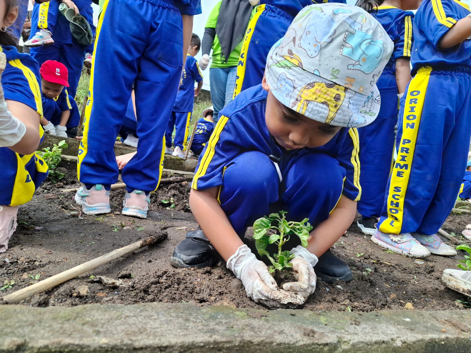 Seorang anak menanam bibit tanaman di kebun sekolah